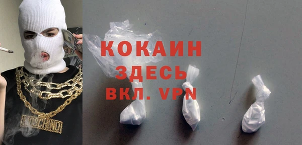 дживик Абинск